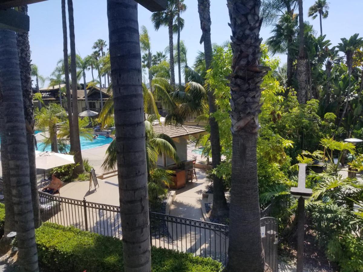 Tropical View King Room