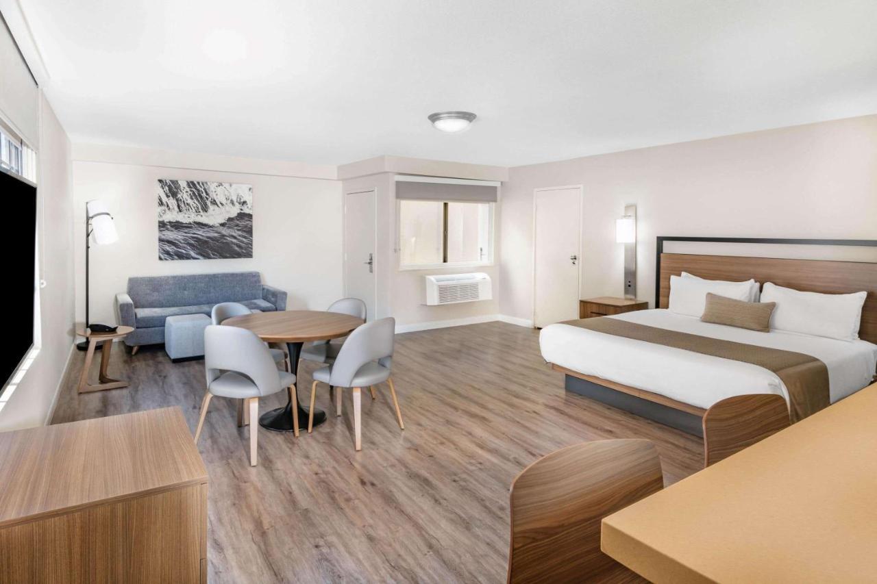 Suíte Executiva com 1 Cama King-size, Sofá-cama e Cozinha Compacta - Não Fumantes