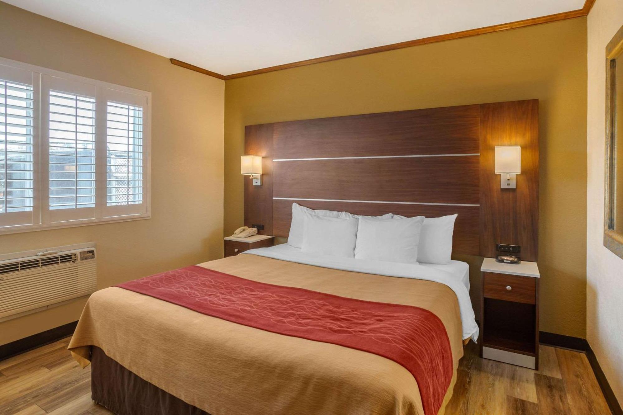 Quarto Standard com 1 Cama King-size e 1 Cama de Casal - Não Fumantes