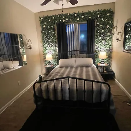 Boston Airbnb-3